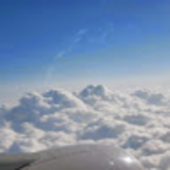 Meet your Posher, Casey - Picture 1 of 1